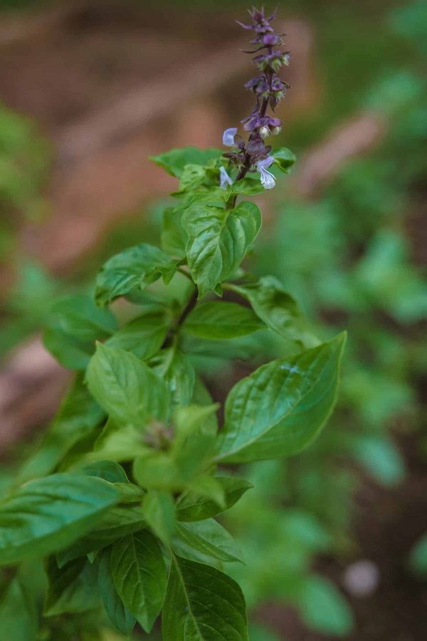 ¿Qué consideraciones tener en cuenta para diseñar un baño eco-amigable?