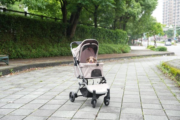 Yoyo carrito: comodidad y estilo en cada paseo